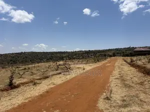 Perimeter Walled 42 Acre Land Kenanie.