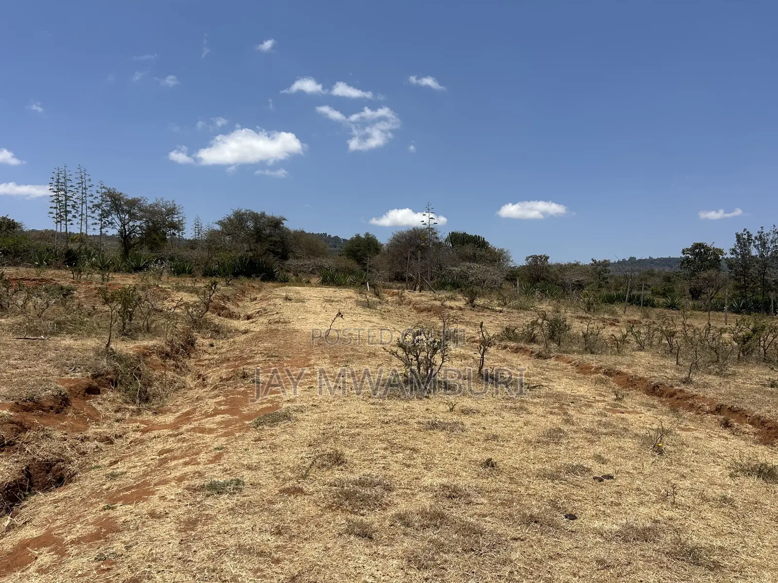Perimeter Walled 42 Acre Land Kenanie.