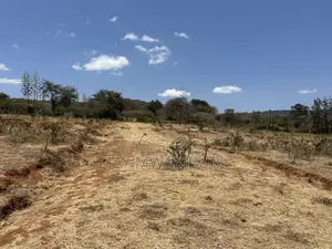 Perimeter Walled 42 Acre Land Kenanie.
