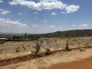 Perimeter Walled 42 Acre Land Kenanie.