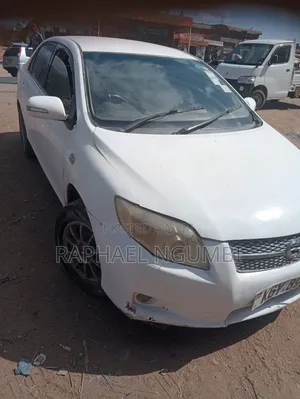 Toyota Axio 2006 White