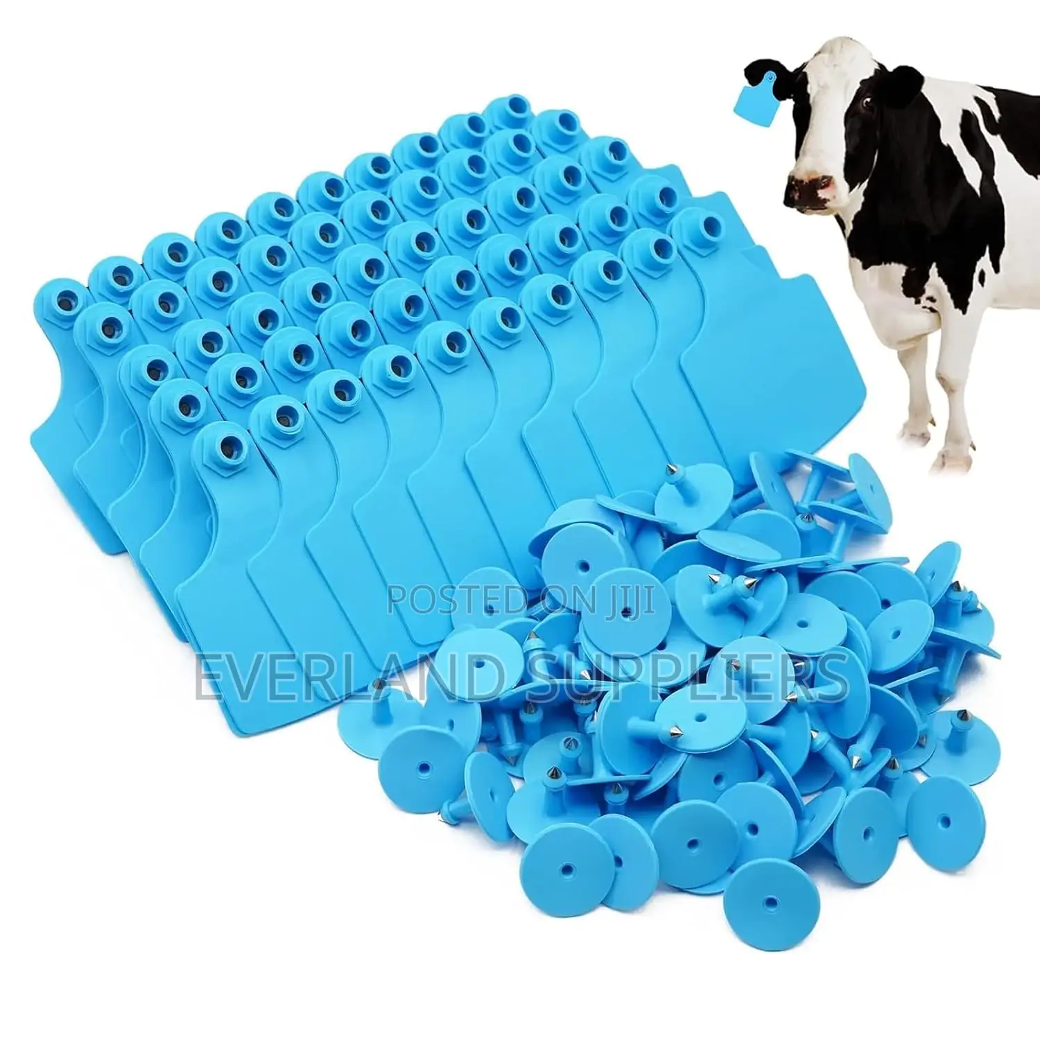 Medium Recognition Ear Tags for Cattles - Plain