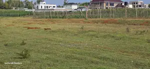 Perimeter Walled 42 Acre Land Kenanie.