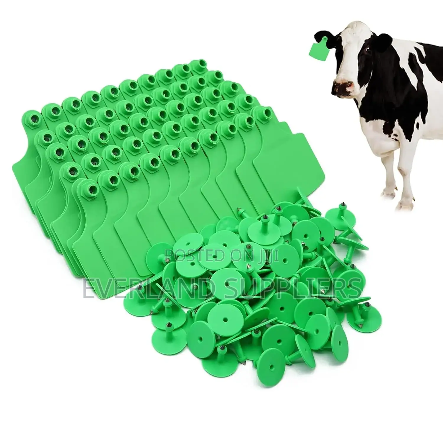 Cattle Identification Display Medium Ear Tags