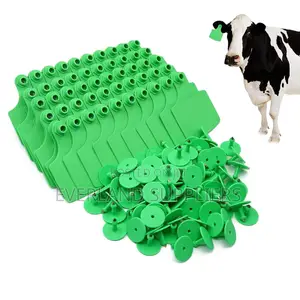 Cattle Identification Display Medium Ear Tags