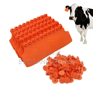 Large Plain Livestock Recognition Ear Tags