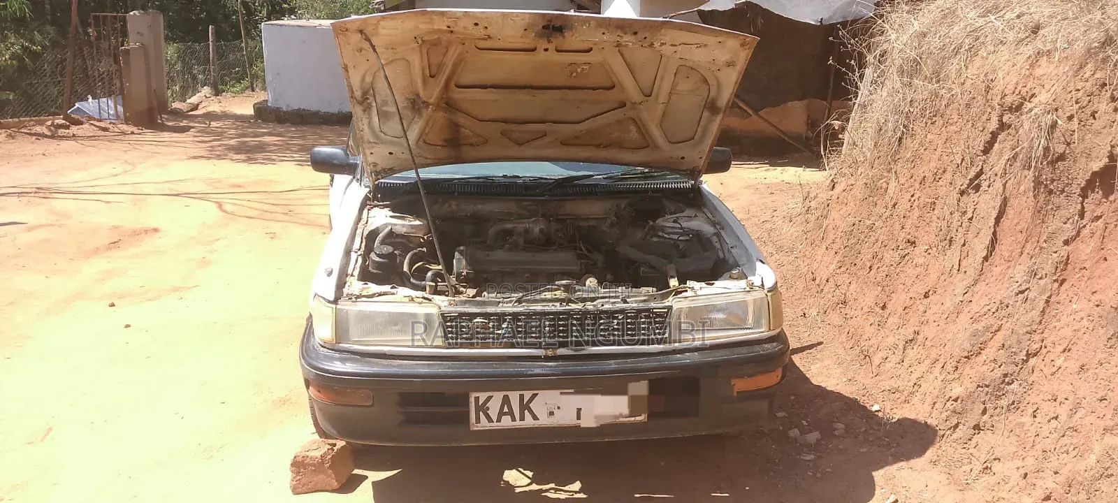 Toyota Corolla 1994 White