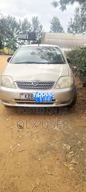Toyota Corolla Sedan 2001 Silver