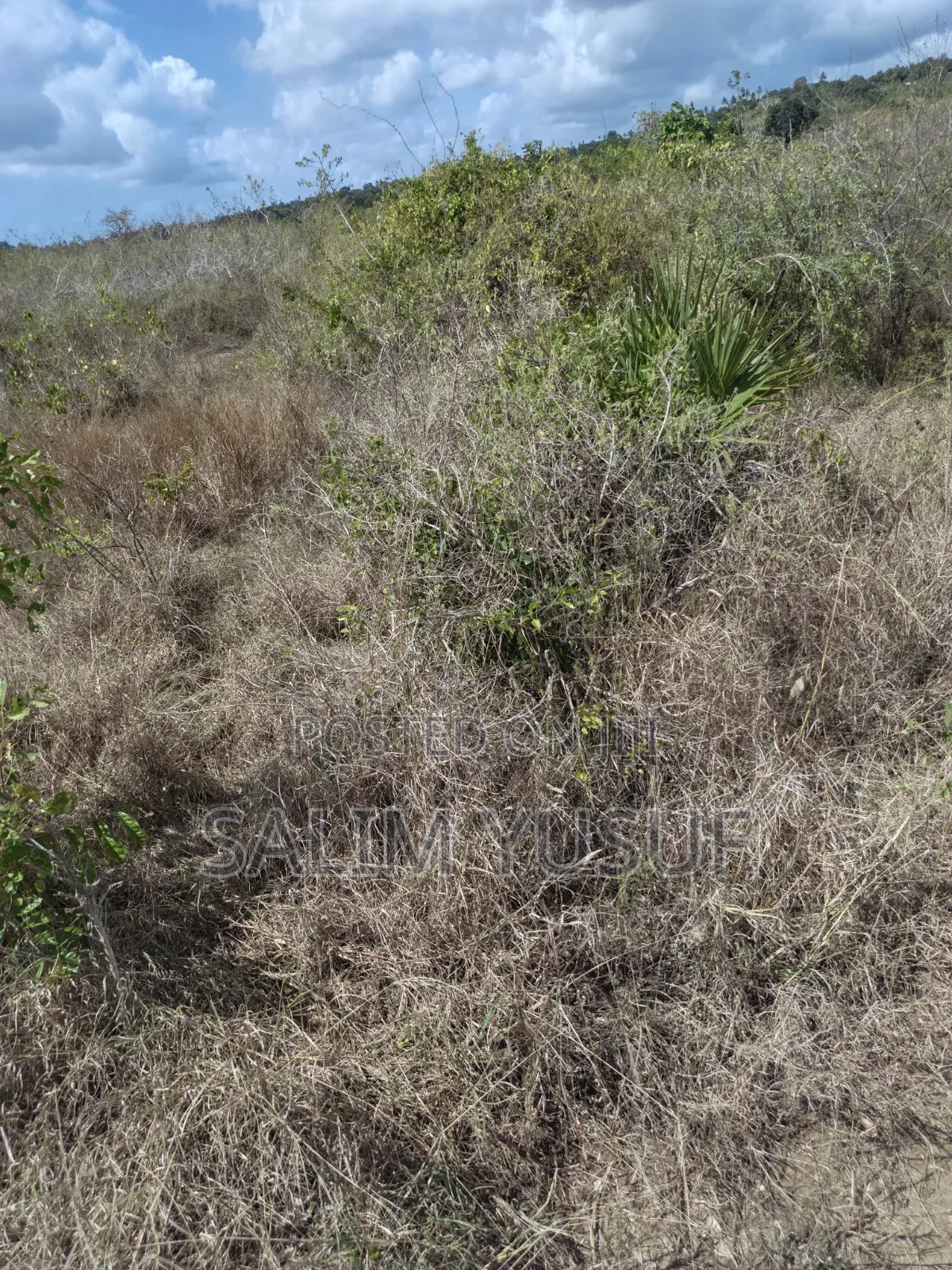 Land for Sale Kwale Kundutsi 8.1acres