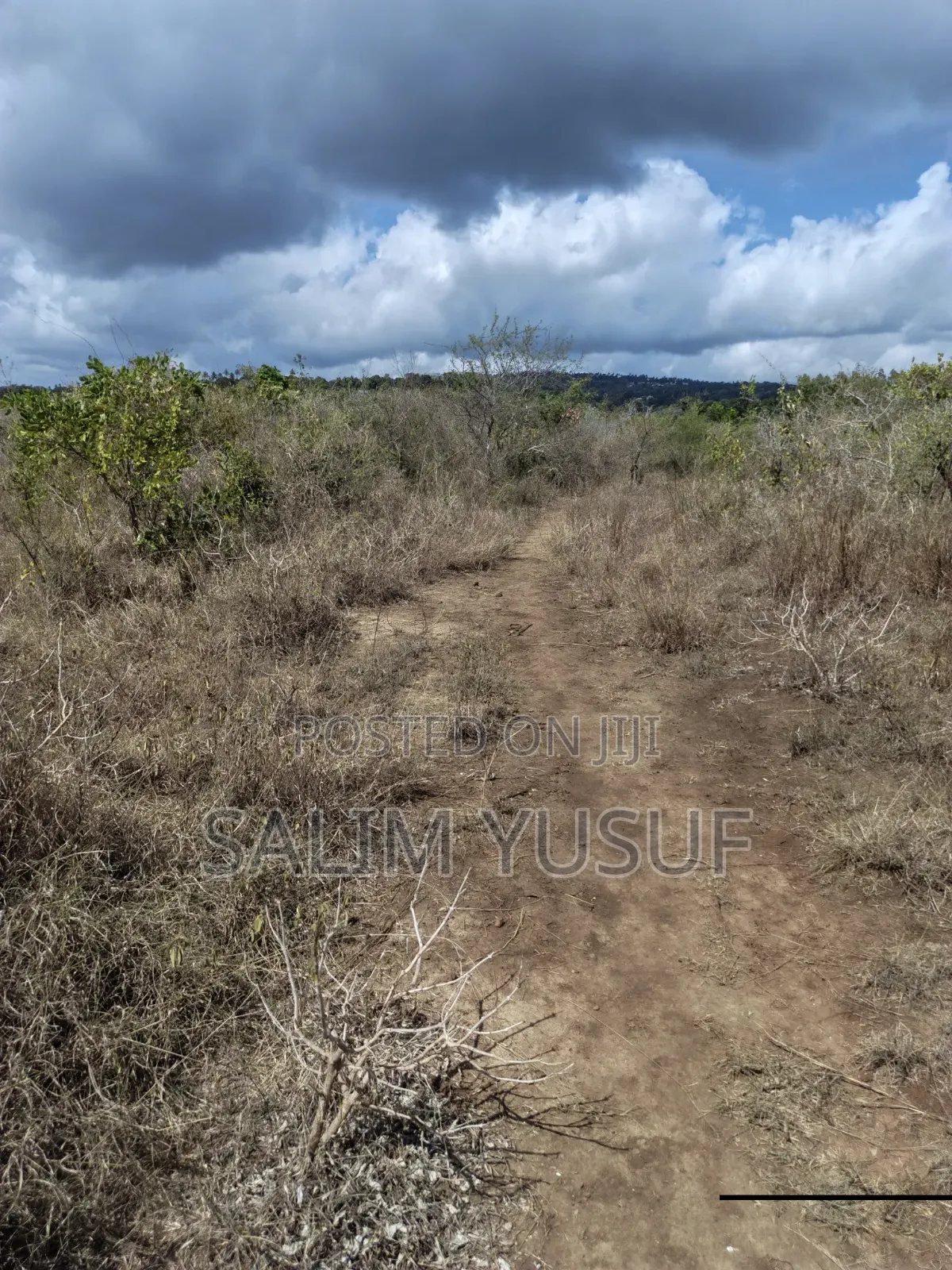 Land for Sale Kwale Kundutsi 8.1acres