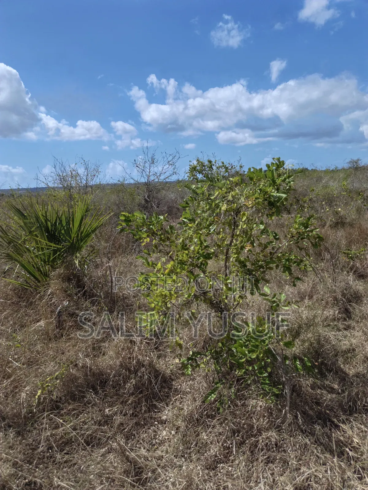 Land for Sale Kwale Kundutsi 8.1acres