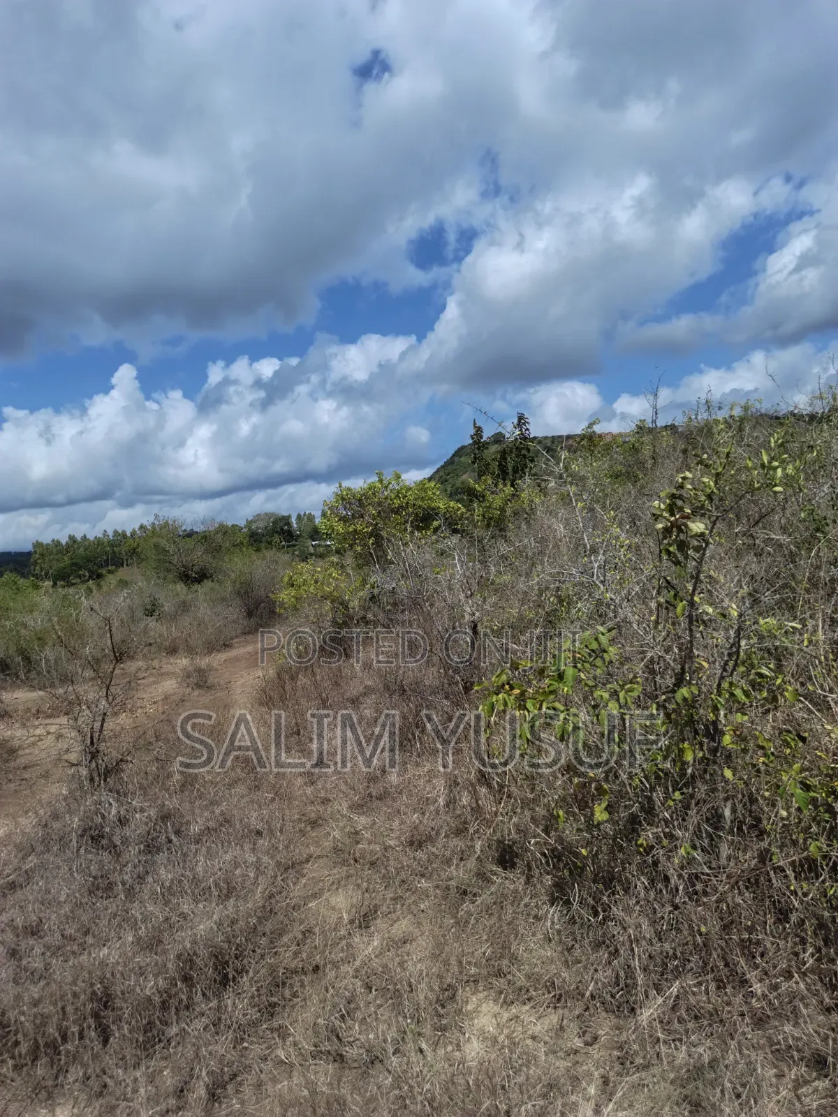 Land for Sale Kwale Kundutsi 8.1acres