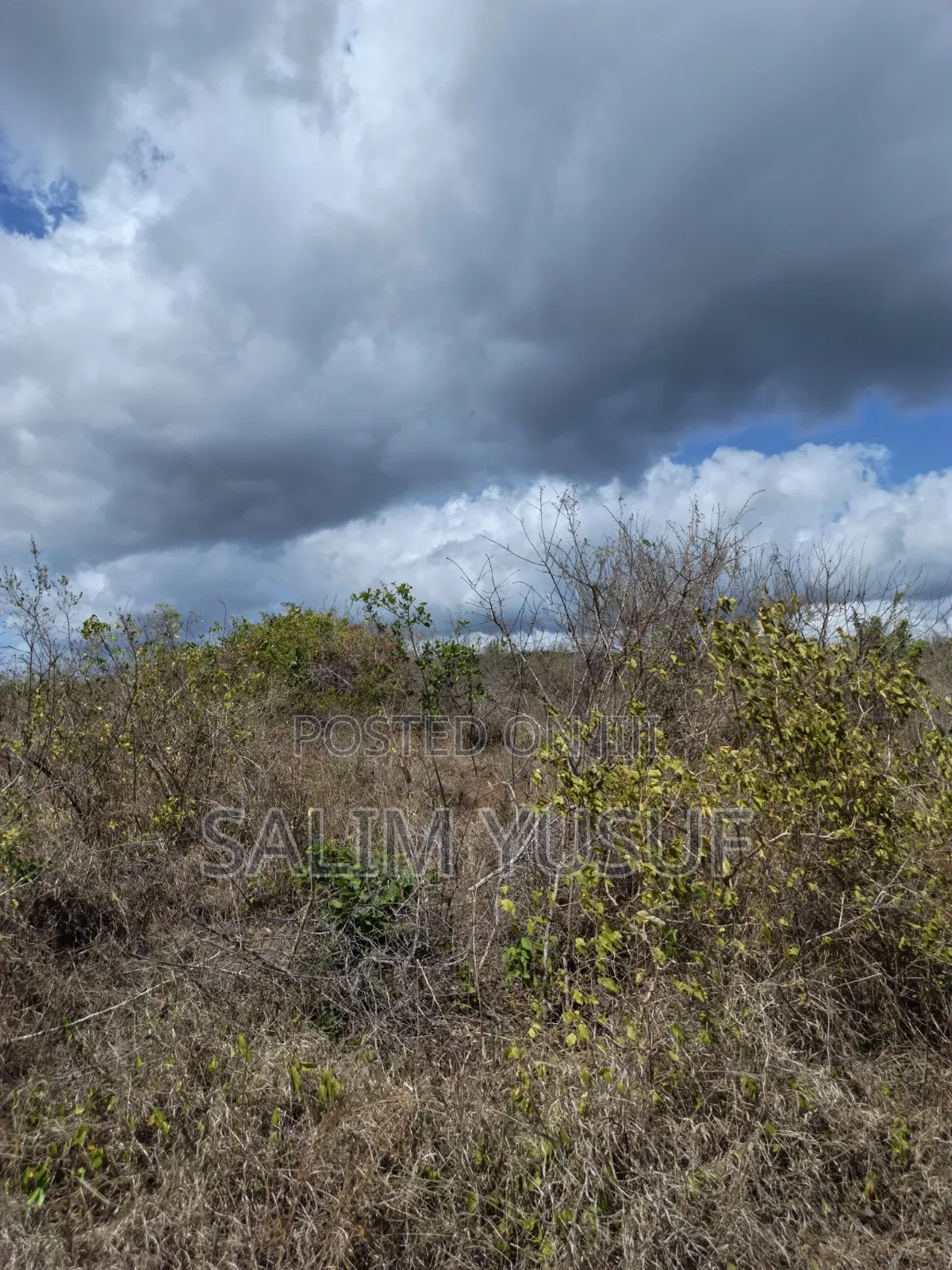 Land for Sale Kwale Kundutsi 8.1acres