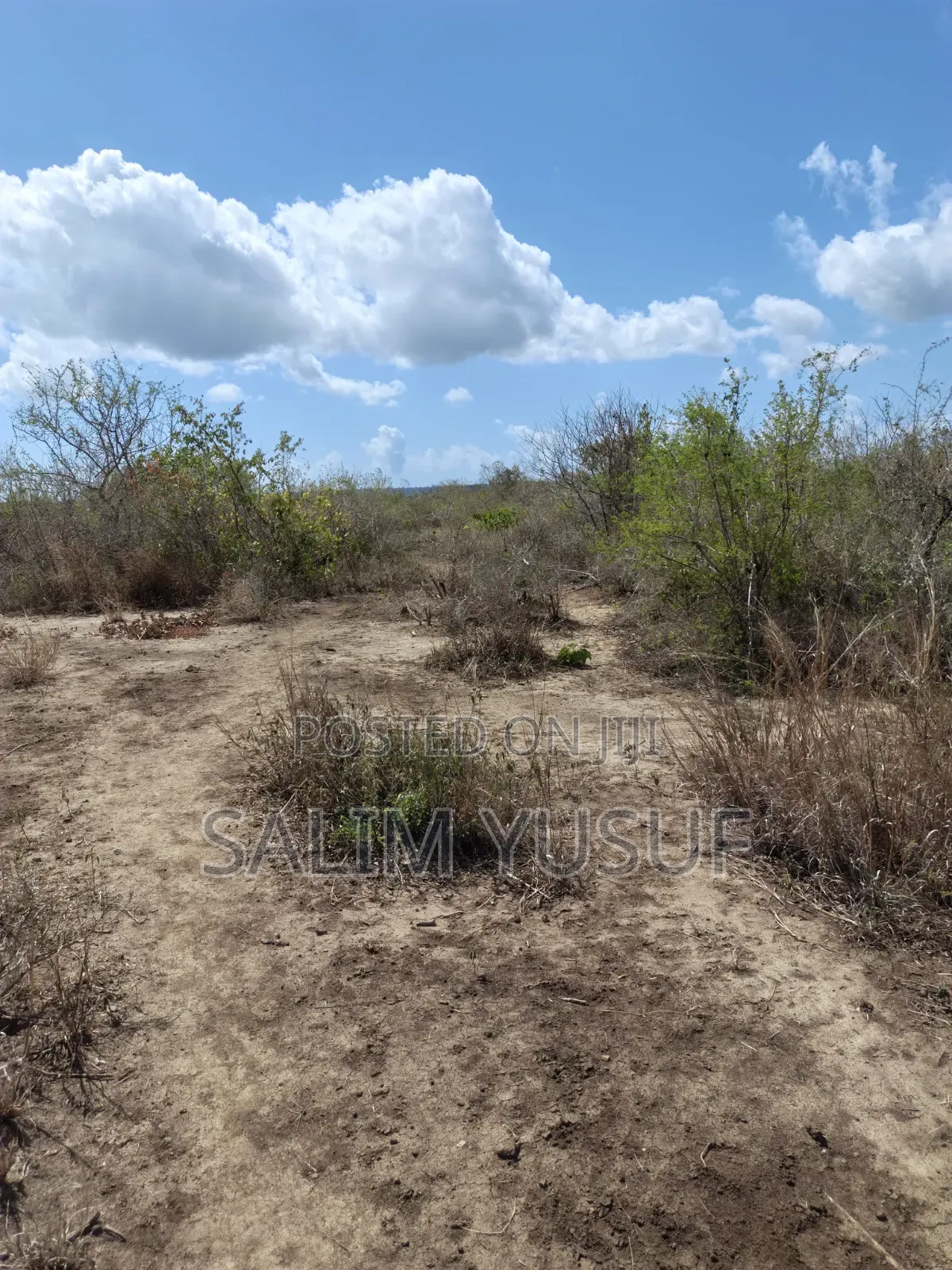 Land for Sale Kwale Kundutsi 8.1acres