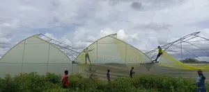 Greenhouse Construction