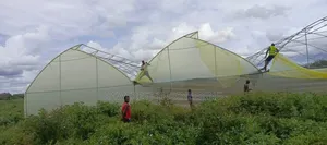 Greenhouse Construction