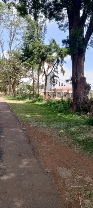 1/4 Acre Land Property