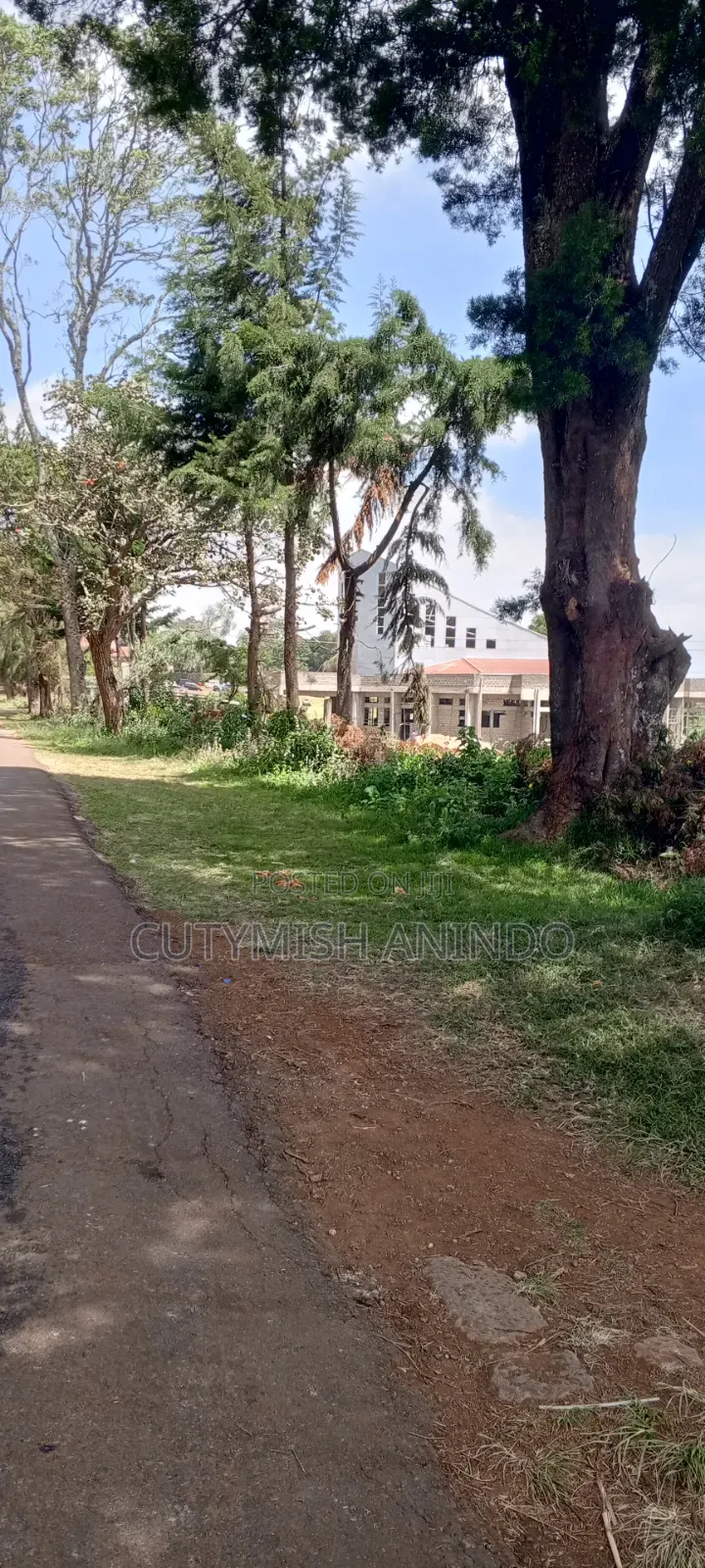 1/4 Acre Land Property