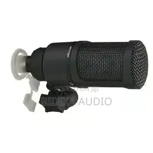 Behringer Bx2020 Condenser Microphone