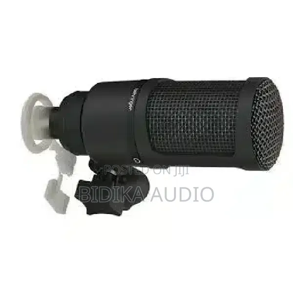 Behringer Bx2020 Condenser Microphone