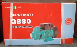 Premier QB80 1HP Peripheral Water Pump – 60M Head
