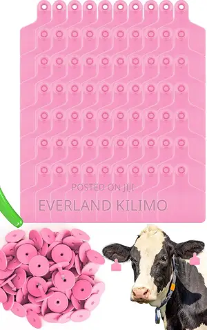 Bold Plain Pink Herd Medium Ear Tags
