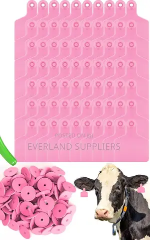 Bold Plain Pink Herd Medium Ear Tags