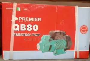 QB80 1HP Peripheral Water Pump With 60M Head & 1" Outlet