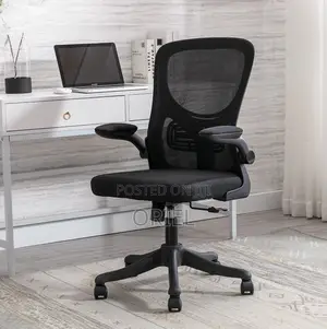 Office Chair : Adjustable Lumbar Support Ergonomic Seat