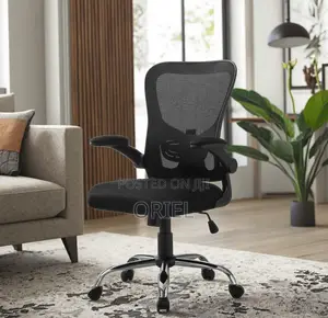 Office Chair : Adjustable Lumbar Support Ergonomic Seat