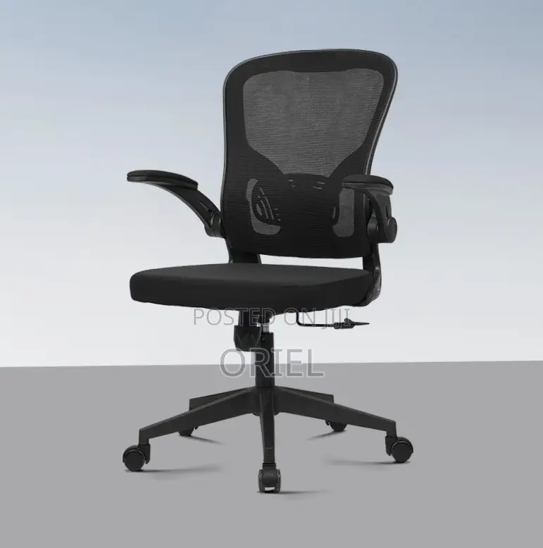 Office Chair : Adjustable Lumbar Support Ergonomic Seat
