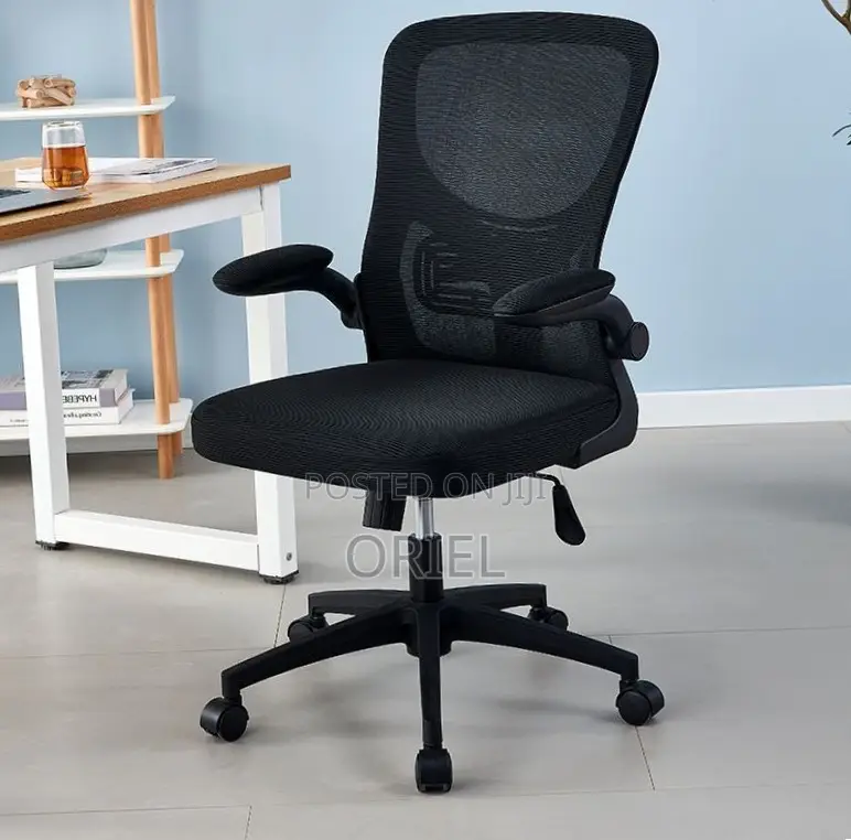 Office Chair : Adjustable Lumbar Support Ergonomic Seat