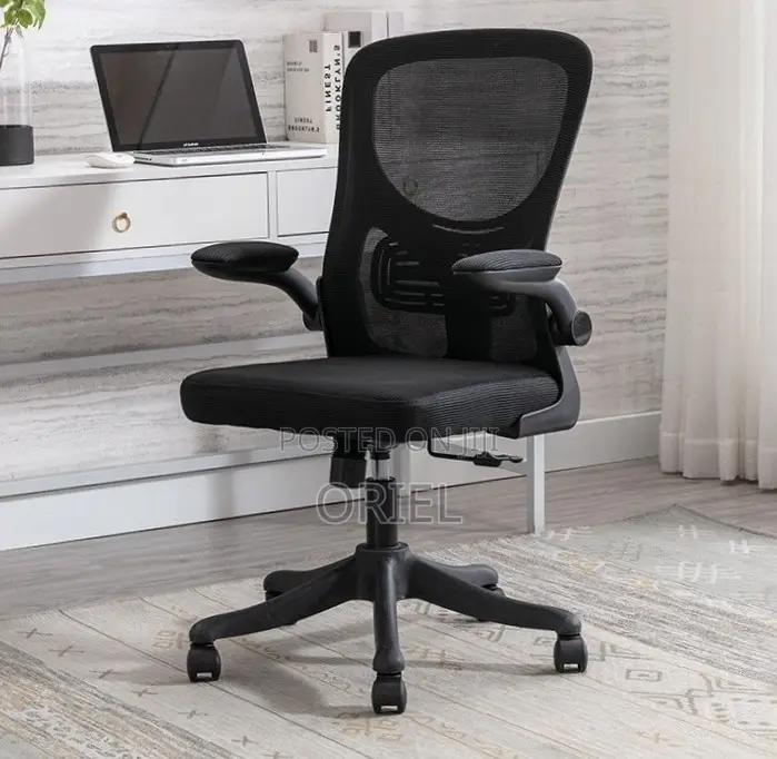 Office Chair : Adjustable Lumbar Support Ergonomic Seat