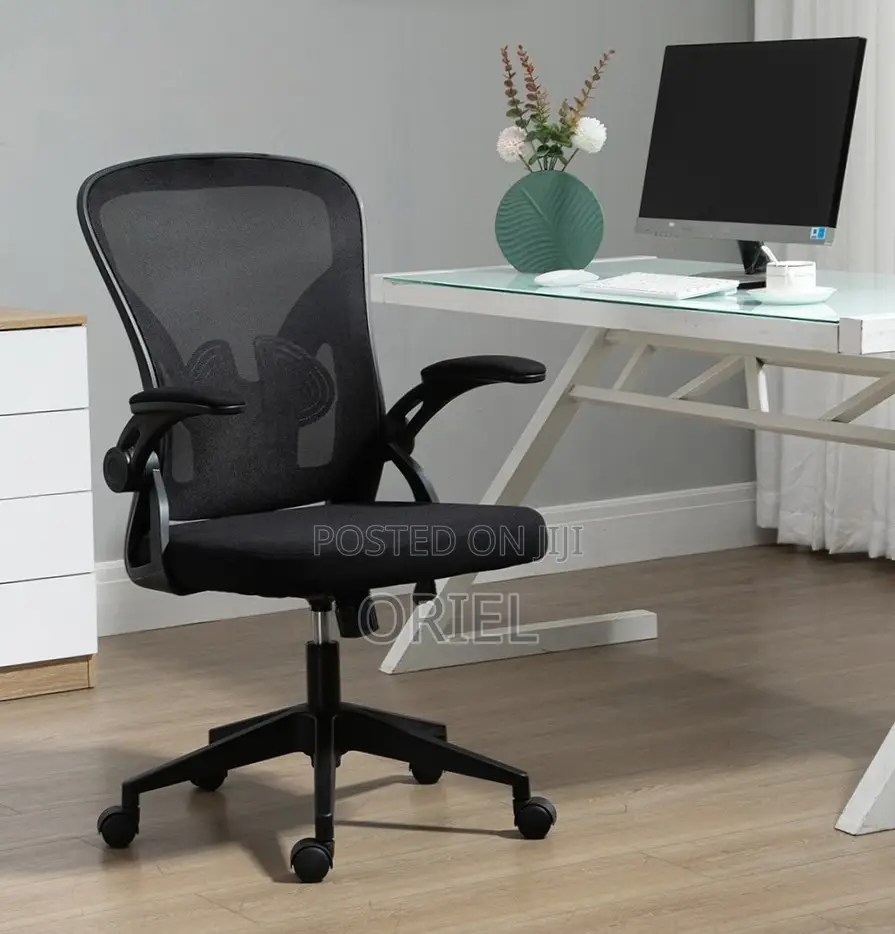 Office Chair : Adjustable Lumbar Support Ergonomic Seat