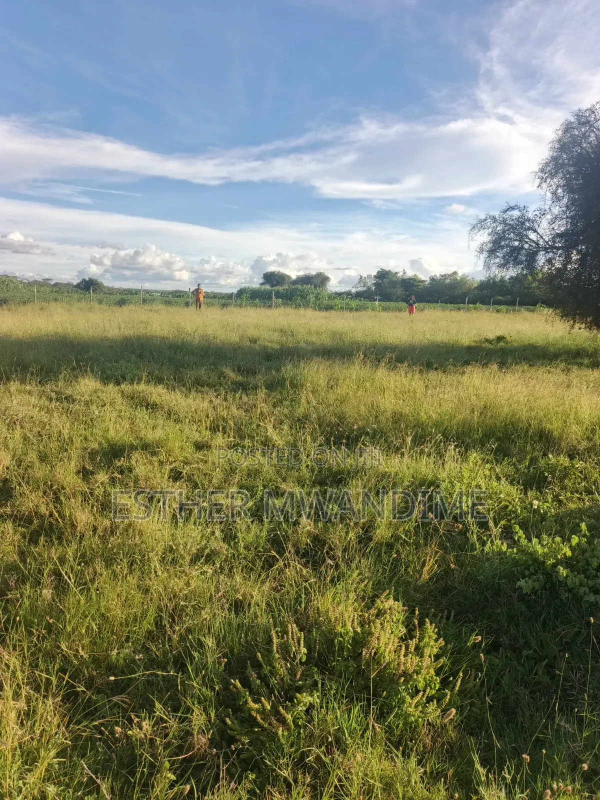 50×100 Plots in Kitengela