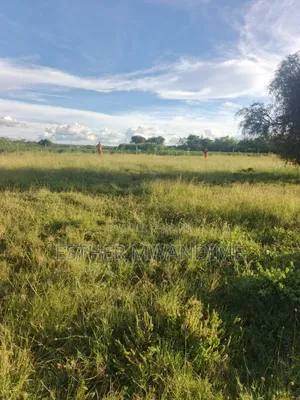 50×100 Plots in Kitengela