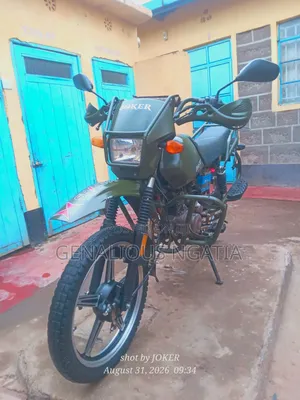 Shineray XY175GY 2013 Green