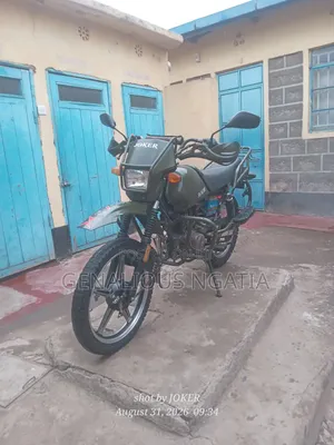 Shineray XY175GY 2013 Green
