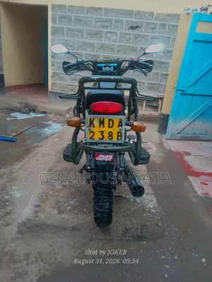 Shineray XY175GY 2013 Green