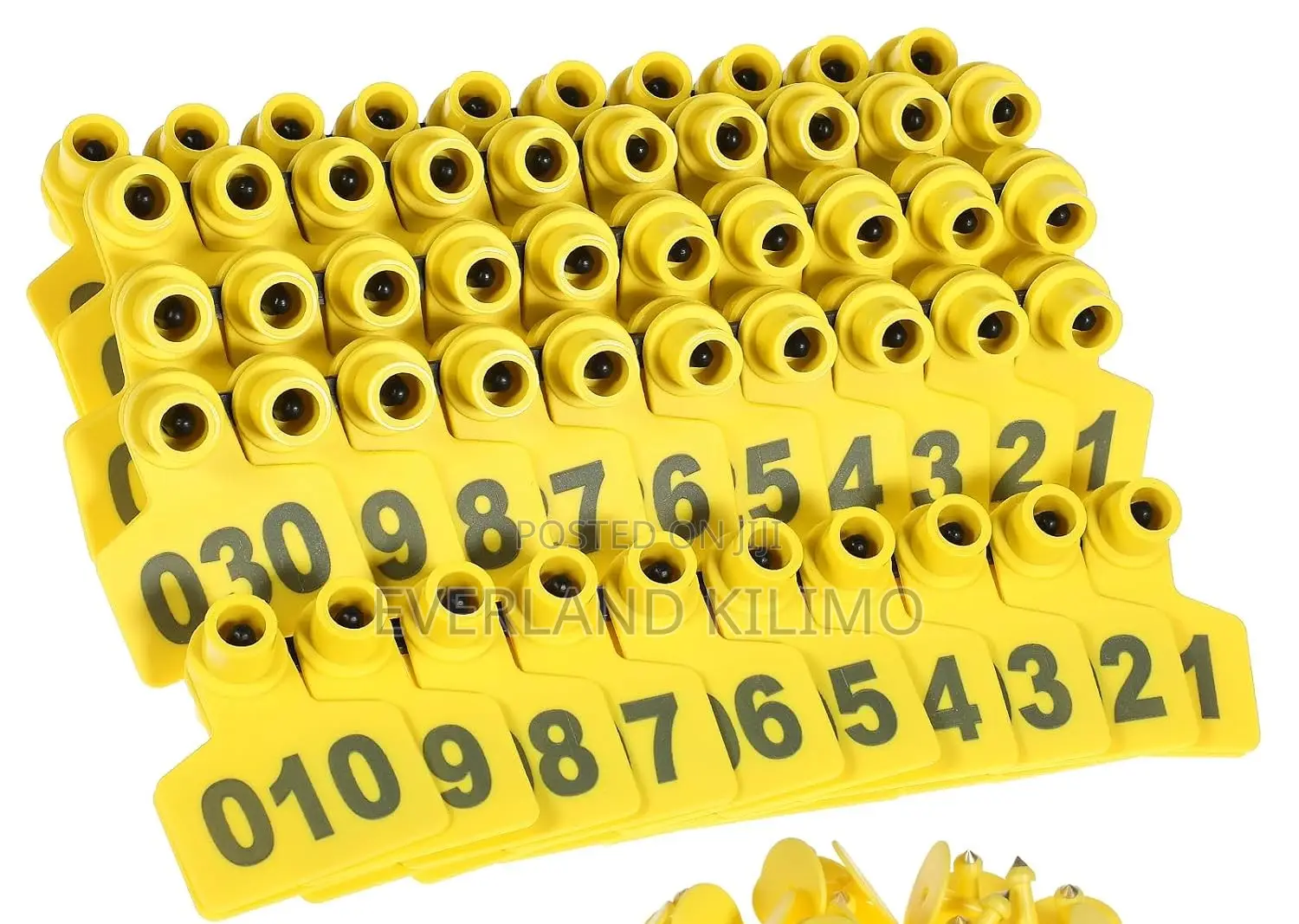 Medium Numbered Livestock Ear Tags