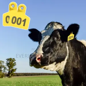 Precision Cattle Medium Ear Tags for Tracking - Numbered