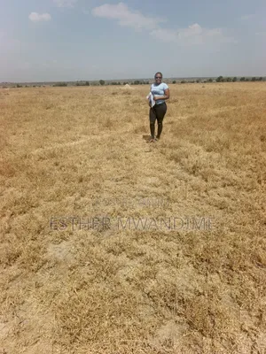 Mixed Property