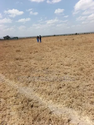 Mixed Property