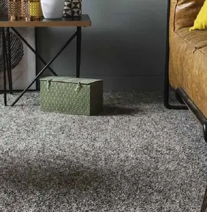 Delta Wall-to-Wall Carpets for Modern Homes – Tsavo Road, Odeon