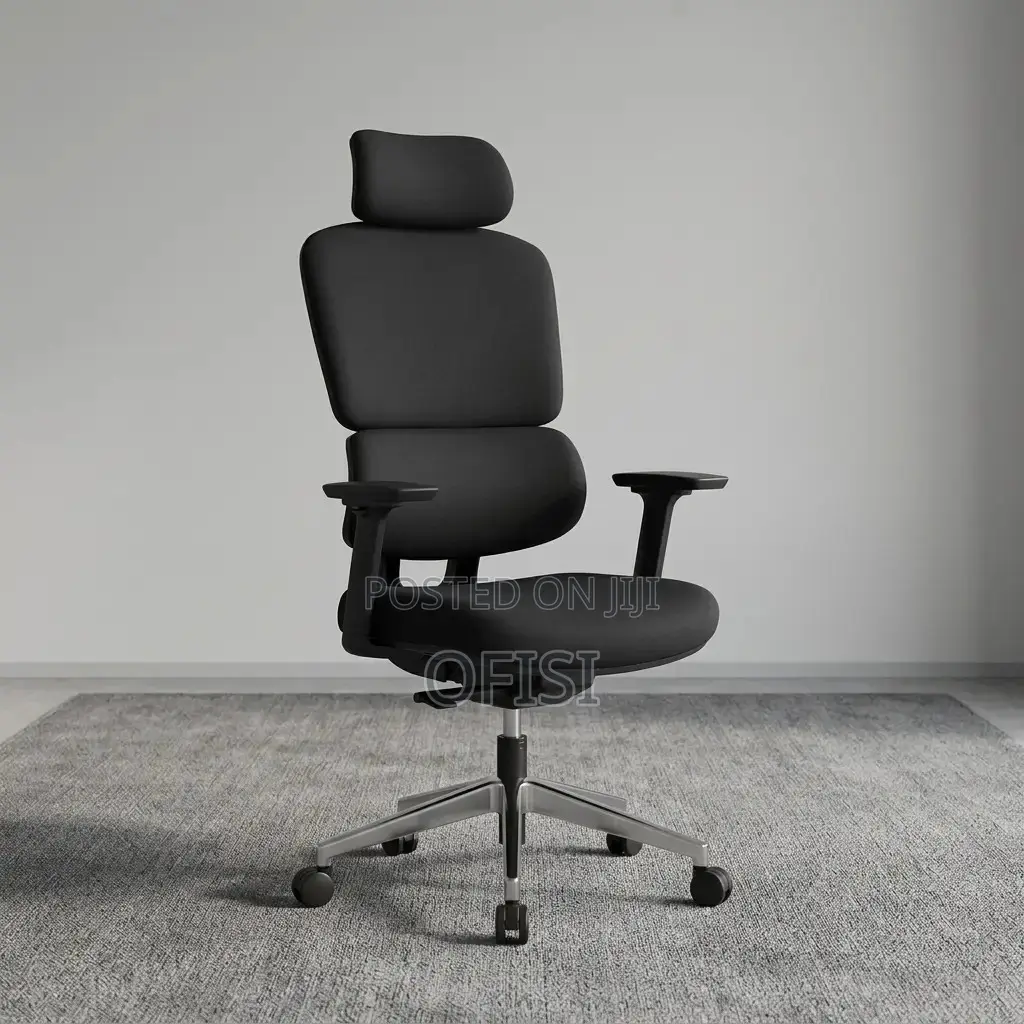 Office Chair; Fully Padded Orthopedic Chair