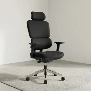 Office Chair; Fully Padded Orthopedic Chair