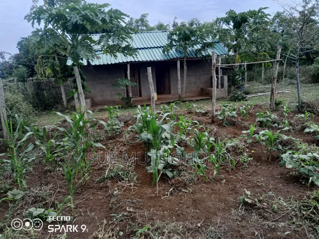 Kwetu Gardens