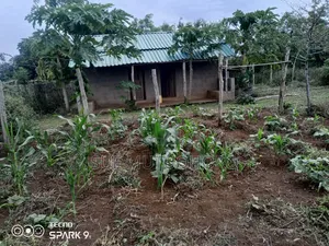 Kwetu Gardens