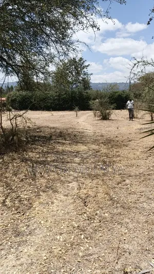 Prime Plot 50×100 for Sell