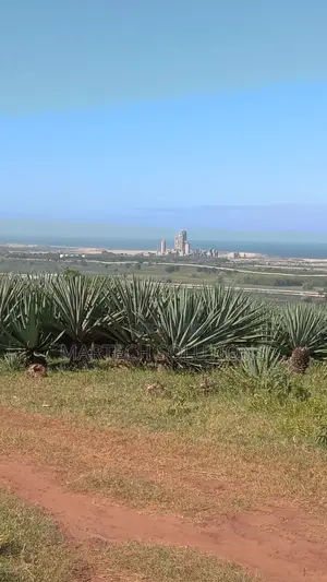 Vipingo Land for Sale